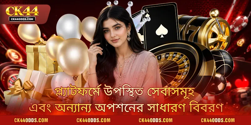 প্ল্যাটফর্মে উপস্থিত সেবাসমূহ এবং অন্যান্য অপশনের সাধারণ বিবরণ